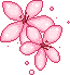 القرآن الڪـَرٍيم Pink-flower-4