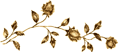 Golden rose Bar