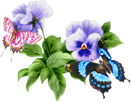 floral-butterflies-1.gif